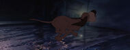 Lady-tramp-disneyscreencaps.com-8239