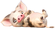 Pua