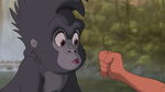 Terk surprised that Tarzan got the elephant hair.