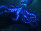 El Calamar Gigante (Finding Dory)