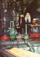 Witch at the cauldron in the 1971 Florida version