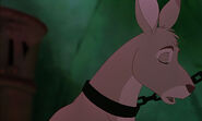 Rescuers-down-under-disneyscreencaps.com-5011