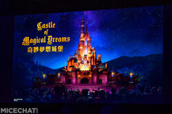 Disneyland Paris MiceChat 30th anniversary disney d-light sleeping beauty  castle night - MiceChat