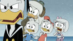 Dewey & Huey warns Scrooge that Donald was not on a cruise.