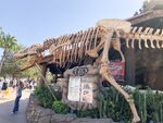 T. rex skeleton at Downtown Disney