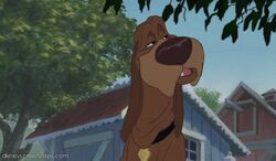 Lady and the Tramp - Wikipedia