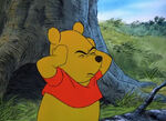 Winnie-the-pooh-disneyscreencaps.com-2990