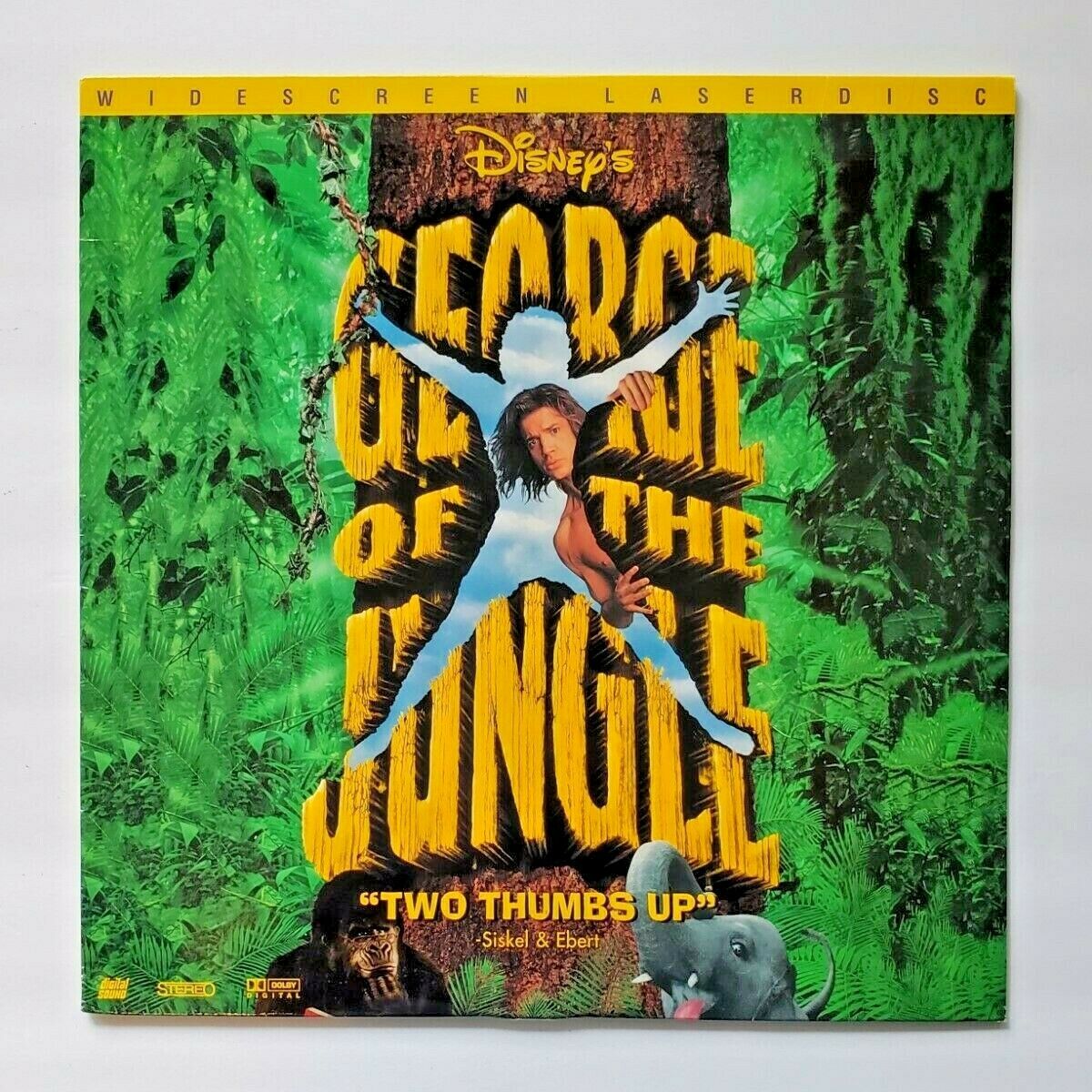George of the Jungle (song), Disney Wiki