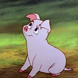 The black cauldron characters outlet