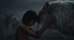 The Jungle Book 2016 (film) 25.jpeg (565 KB)