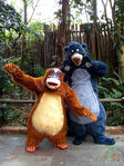 Baloo with Louie at Hong Kong Disneyland