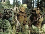 Ewoks