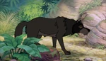Jungle-book-disneyscreencaps.com-285.jpg (408 KB)