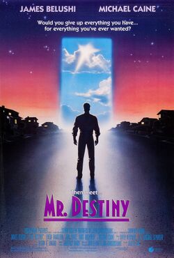 Mr. Destiny - Poster