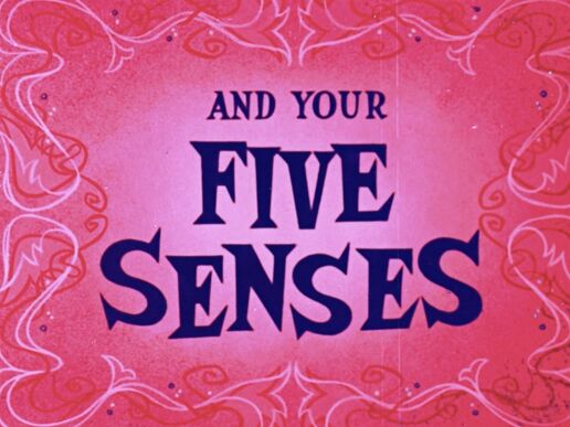 Youandyourfivesenses