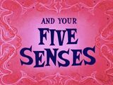 You and Your Five Senses