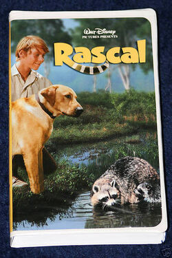 Rascal  Disney Movies