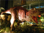 Carnotaurus in the goseong dinosaur world expo