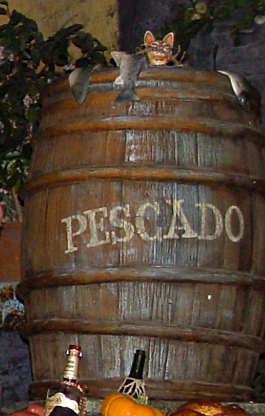 Cat in pescado barrel