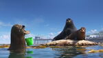 Fluke and Rudder luring Gerald to give him his bucket in exchange for sitting on the rock.