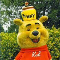 disney pooh costume