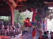 Pumba en The Festival of the Lion King en Disney's Animal Kingdom