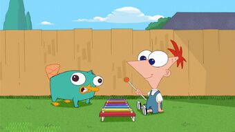 Perry The Platypus Disney Wiki Fandom Perry is the pet platypus of phineas flynn on the disney channel xd show, phineas and ferb. perry the platypus disney wiki fandom