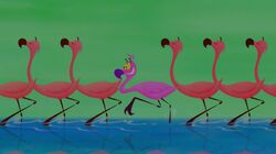 Yo Yo Flamingo, Disney Fanon Wiki