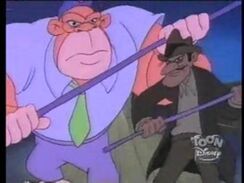 MrmalonegorillaBonkers.jpg
