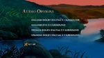Audio Options menu
