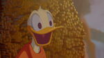 Donald Duck