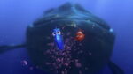 Marlin, Dory, the Whale, and Krill