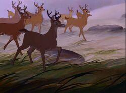 The young bucks in Bambi