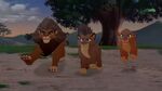 Running to help the Lion Guard.