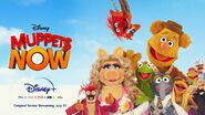 Muppets Now Disney+