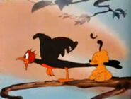 Pluto Junior 3.jpg (25 KB)