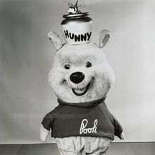 disney pooh costume