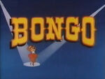 1971-bongo-1