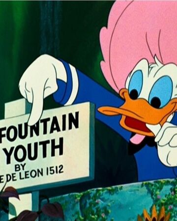 Fountain Of Youth Disney Wiki Fandom