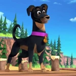 Daisy (Puppy Dog Pals)