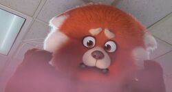 Mei the Red Panda.jpg