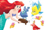 Ariel's treasure