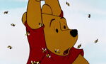 Pooh gets stung by one of the bees