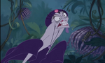 Yzma Jungle