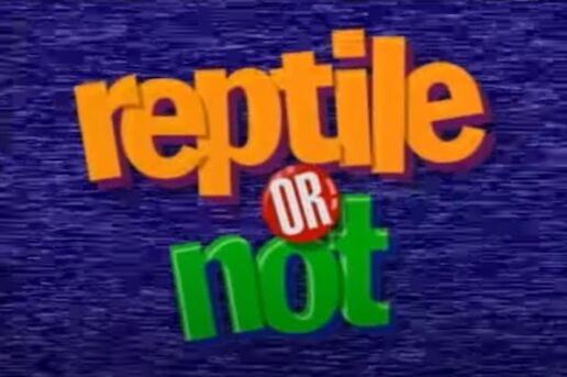 Bill nye Reptiles