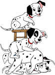 Dalmatian-puppies4