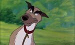 Fox-and-the-hound-disneyscreencaps.com-879