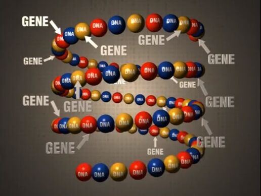 Genes bill nye