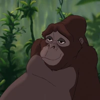 Kala Disney Wiki Fandom Tarzan cartoon movie in hindi full hollywood animated action movies 2018. kala disney wiki fandom