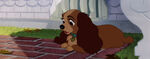 Lady-tramp-disneyscreencaps.com-2040